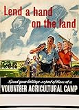 Vintage British WW2 1939-45 Propaganda &Landwirtschaft Verleihen mit der Kartoffel Ernte auf Ein ANBAU- HOLIDAY CAMP, 250gms, Glänzend, A3, Vervielfältigtes Poster