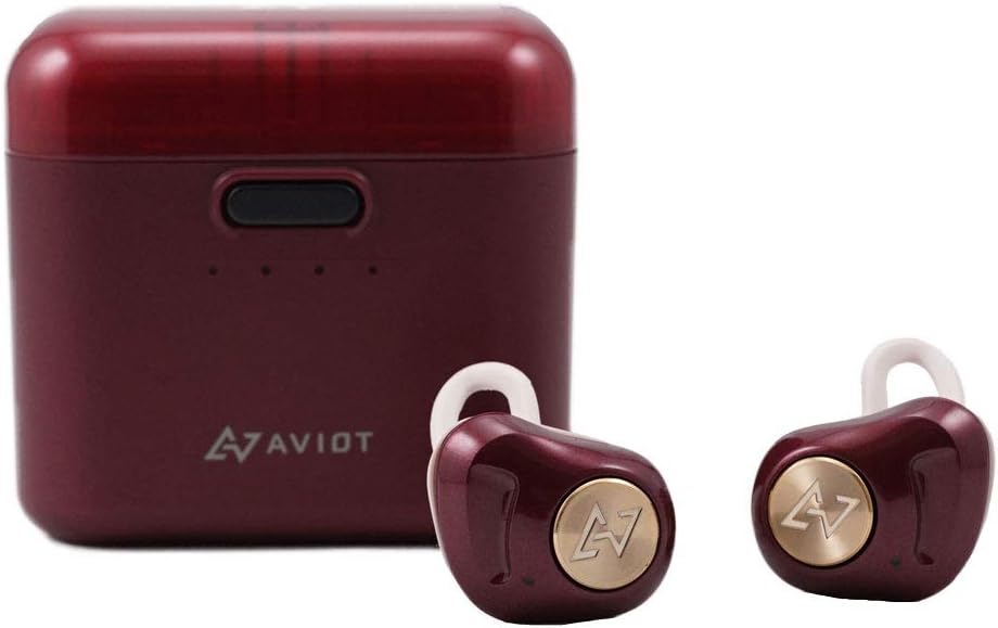 Bluetooth 5.0 True Wireless Earphone Waterproof IPX4 TE-D01D Dark Rouge
