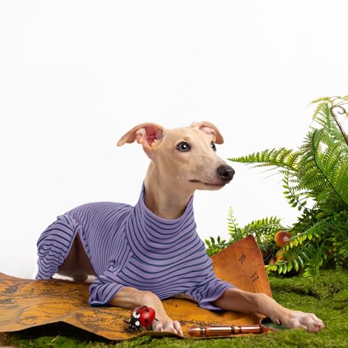 Dog Sweaters for Small Dogs Girls Boys, Striped Pet Sweaters for Fall Winter Dog Clothes, Turtleneck Pullover Knitwear for Small Medium Large Dogs - Image 6