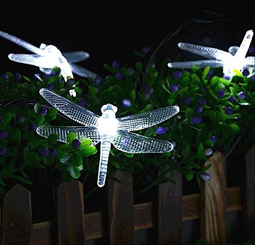 Dragonfly Solar String Lights Outdoor, DINOWIN 20ft 30 LED Waterproof Fairy Lights Decorative Lighting for Indoor/Outdoor Home Garden Lawn Fence Patio Party and Holiday Decorations (White) - Image 3