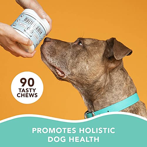 Natural Dog Company Multivitamin Chews (90 Pieces), Dog Vitamins and