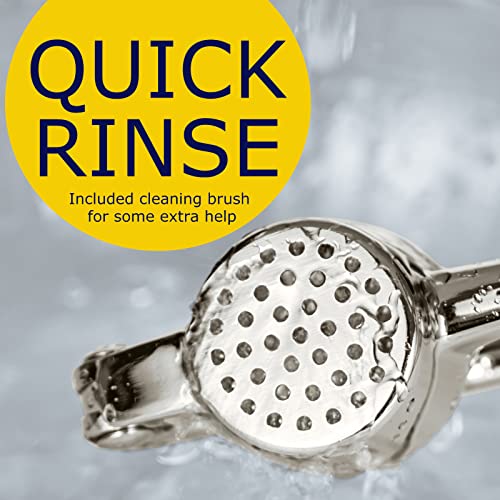 Premium Garlic Press, Professional Garlic Mincer, Easy To Squeeze And Clean, Rust Proof & Dishwasher Safe, Efficient Ginger Crusher- Imperial Silver #TOP3