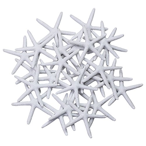 LJY 25 Pcs Artificial Resin Starfish, Mini Sea Stars for Crafts Aquarium Decoration, Vase Fillers