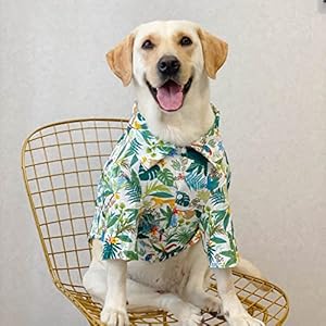 Dog-Hawaiian-Shirt-Summer-Pet-Clothes-Large-Dog-Cool-Costume-Beach-T-shirt-for-Medium-Large-DogWhite7XL - Cucciolini Doodles Dog-Hawaiian-Shirt-Summer-Pet-Clothes-Large-Dog-Cool-Costume-Beach-T-shirt-for-Medium-Large-DogWhite7XL