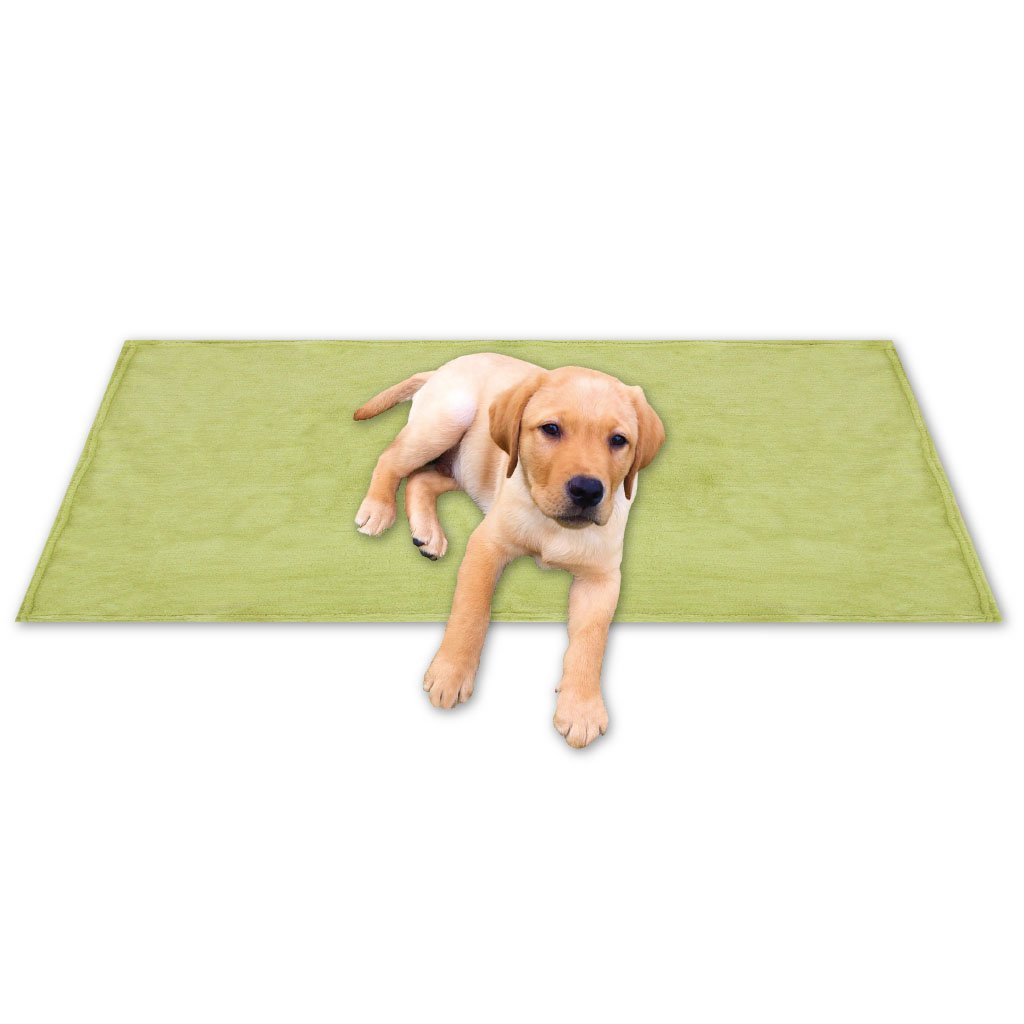 Bestgoodies Manta para mascotas, manta para perros y gatos, muy suave, 80 x 120 cm, verde oliva