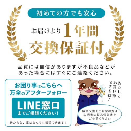 Amazon.co.jp: ながら洗車: スノーメンブラック