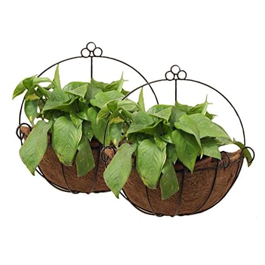 Tosnail PVC Coated Metal colgar en la pared maceta cesta con Coco maletero – Ideal para interior o exterior plantas – Pack de 2