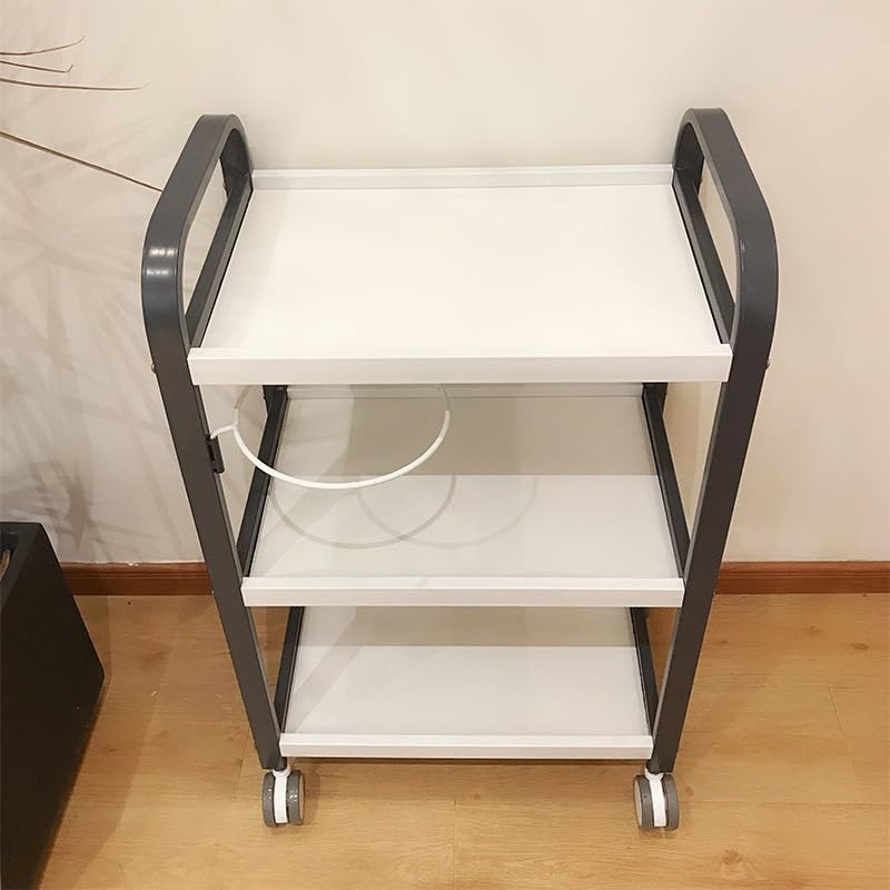 洋書）桑山忠明のモノグラフ（英語） 洋書）桑山忠明のモノグラフ