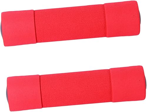 Toyvian 2pcs Foam Covered Dumbbells for Women Comfortable Non-slip Hand Weights for Arm Toning Home and Gym Exercise Equipment Lightweight Strength