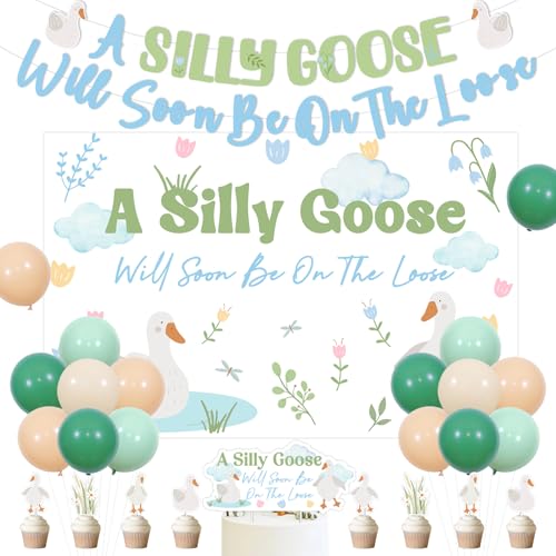 Bannière de fond Silly Goose et décors de gâteaux haut de gamme pour fête prénatale garçon