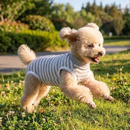TQFlow Hundbody Nach Op, Body Hund Kastration Wundschutzanzüge Hündin Rüde, Wundschutz Professioneller Pet Recovery Suit, Operationsbody Hund Body Atmungsaktiv Hunde Einteiler (Grau,XS)