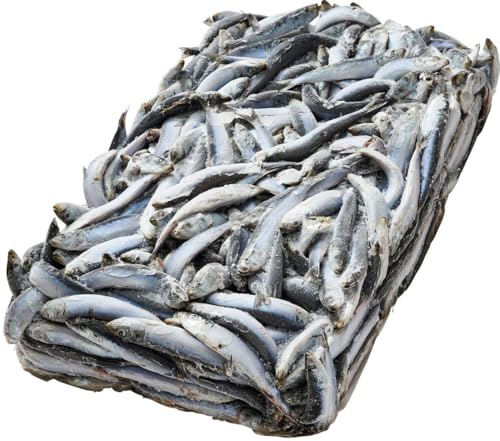 qⓀނGTrlsmHAMAICHIn}CV10s^Cv()yⓀz