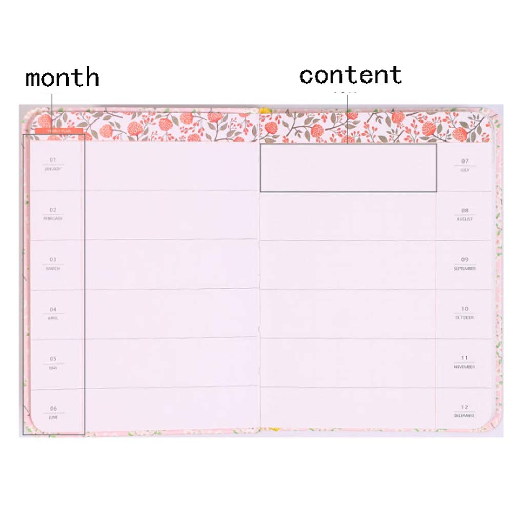 Manual de composición, Cuaderno, Libro pequeño y Fresco, Libro de Cuentas, Diario, Libro de Plan Creativo, Cuaderno de Cuentas