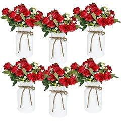 6 White Vases & 12 Red Roses