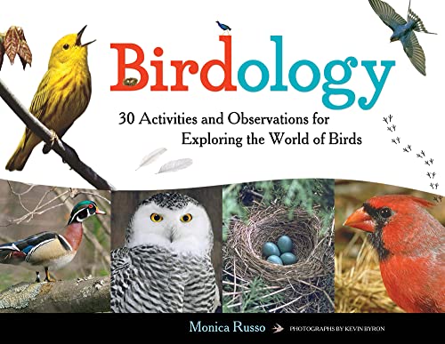 Birdology view 2