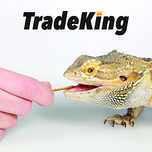 TradeKing 1 lb Dried Mealworms - High Protein Treat for Wild Birds, Chicken, Fish & Reptiles - Image 6