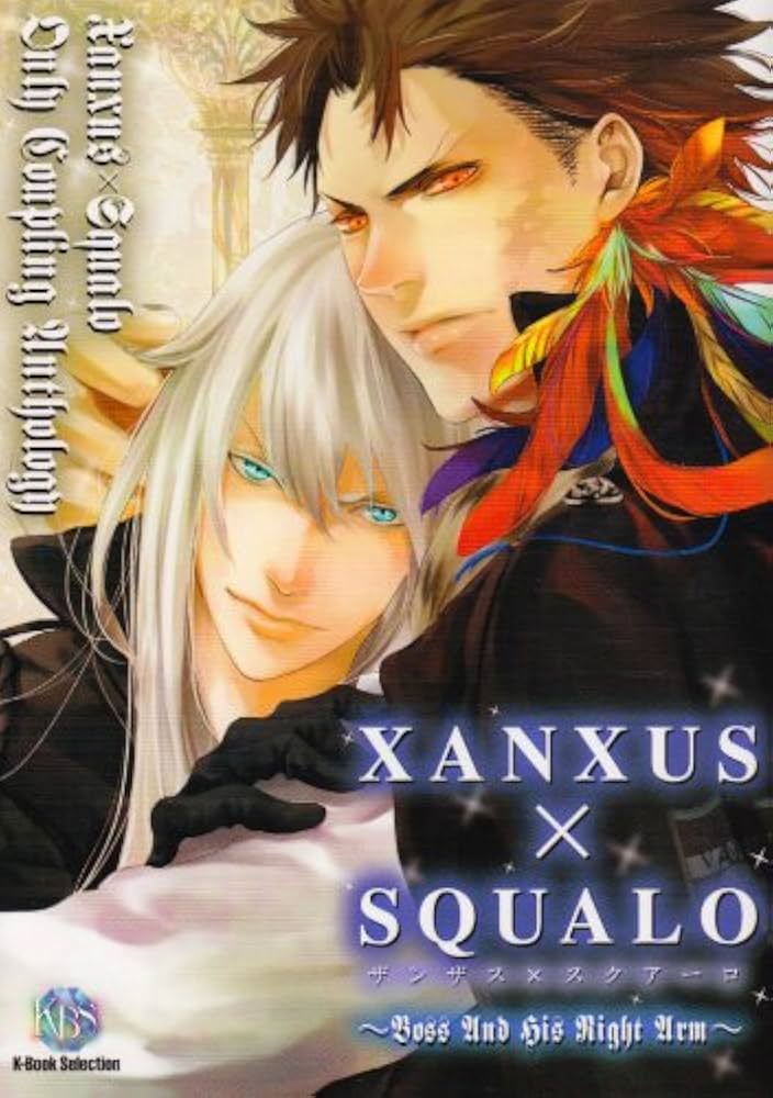 宝石の輝き　XANXUS ザンザス RR 宝石の輝き XANXUS - ユニオンアリーナシングル＆デッキ販売