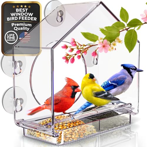Premium Window Bird Feeder for Outside - Clear Bird House w/Largest Window for Viewing Birds - Easy to Install & Sturdy Feeder w/Extra Strong Suction Cups - Perfect for Kids, Adults and Cats