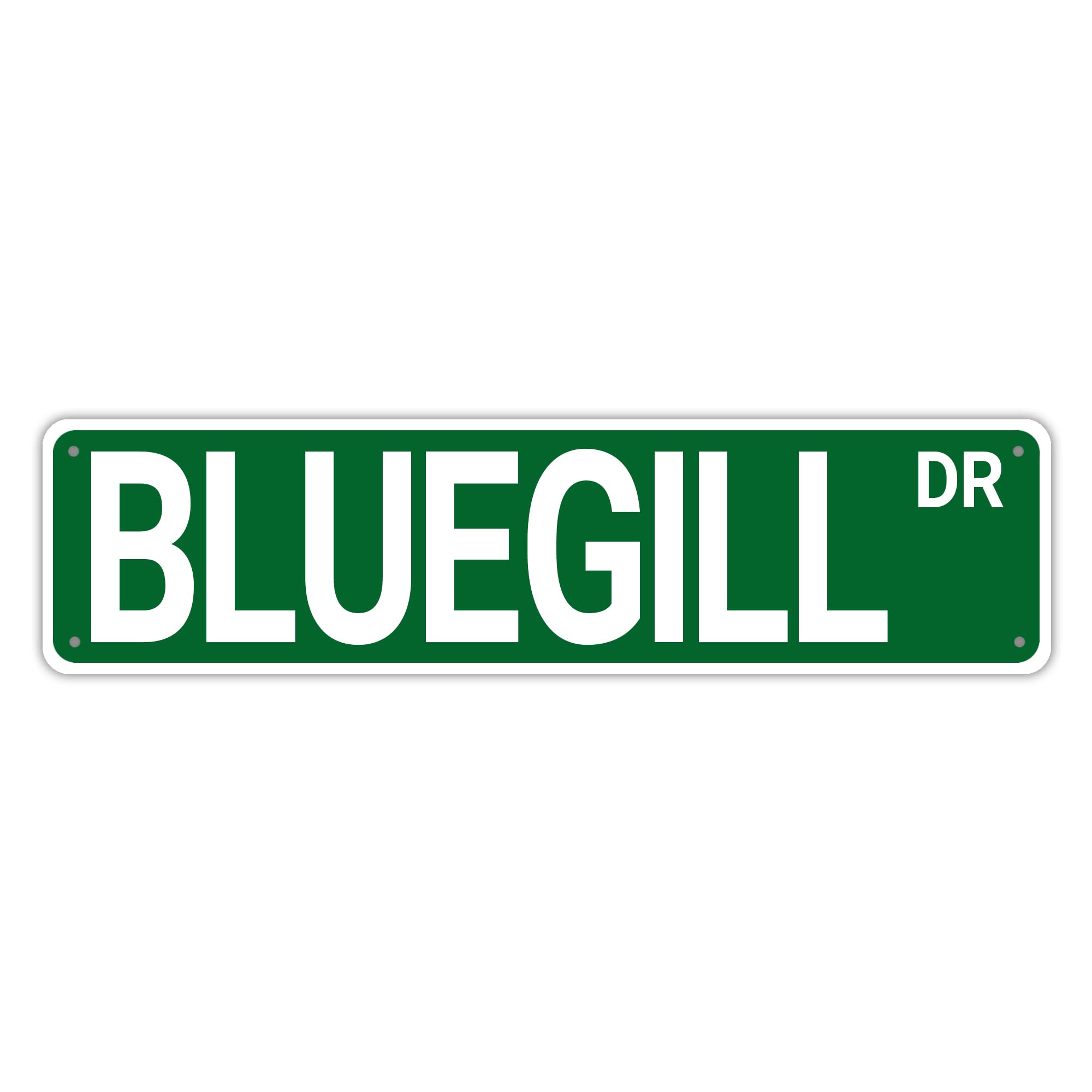 Bluegill Dr Retro Tin Signs Aluminum Metal Sign Art Plaque Living Room Home Kitchen Garden Wall Non-Fade Funny Decor 4x16 Inch