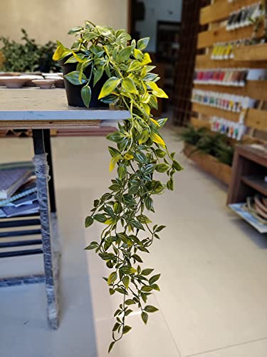 Image of Chitra Artificial Fern Plant with Pot for Home, Office, Living Room & Counter Decoration | Realistic Faux Greenery for Indoor Use | Durable Plastic Pot (7)