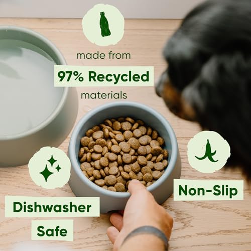 Beco Hundenapf – Futter & Wasser Stabiler Napf aus recyceltem Kunststoff, rutschfeste Gummiunterseite, Olivgrün, groß