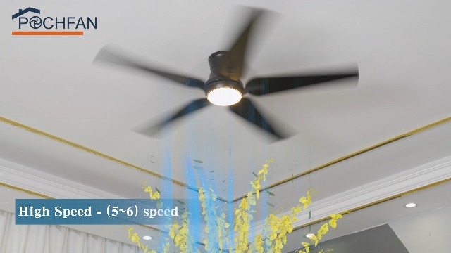 ❤️fanbim❤️ Amazon.com: POCHFAN 52 Inch Black Ceiling Fans with Lights
