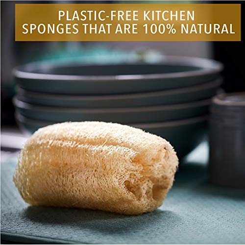 Image of ENEY Eco-Friendly Natural Washing Up Dish Sponge | 100% Plant-Based Biodegradable | Three Pack of Non-Odor Kitchen Sponges | Sustainable Unbleached Loofah | Plastic-Free