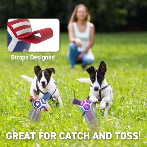Image of QDAN 2 Pack Small Dog Toys, Puppy Balls, Dog Balls with Straps for Small Breed, Soccer Ball for Dogs, Puppy Toys, Dog Birthday Gift (3.5 Inch)