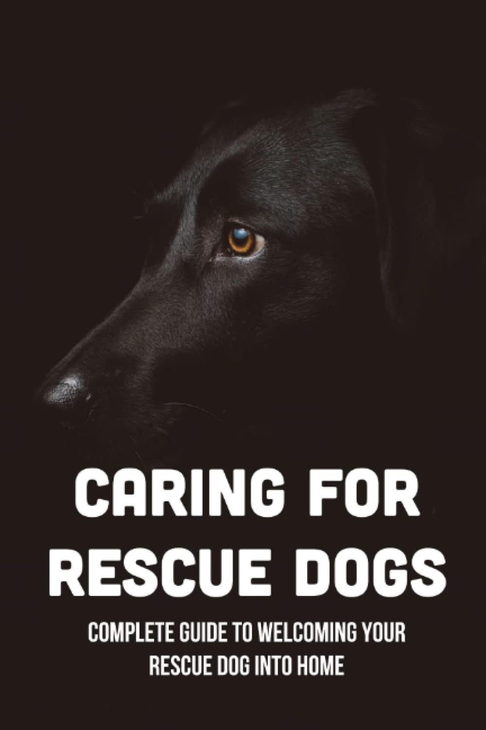 Caring For Rescue Dogs: Complete Guide To Welcoming Your Rescue Dog Into Home