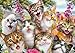 Produktbild Schmidt Spiele 58391 Katzen-Selfie, 500 Teile Puzzle