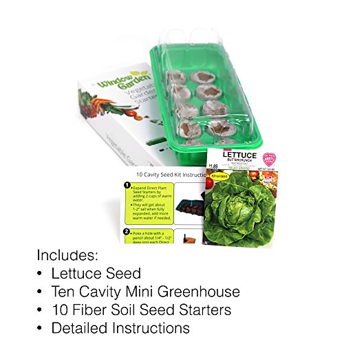 Window Garden - Vegetable Starter Kit - Grow Your Own Food. Germinate Seeds on Your Windowsill Then Move to a Patio Planter or Vegetable Patch. Mini Greenhouse System - Easy. (Buttercrunch Lettuce)