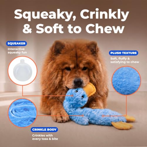 Image of Best Pet Supplies Crinkle Dog Toy for Small, Medium, and Large Breeds, Cute No Stuffing Duck with Soft Squeaker, Fun for Indoor Puppies and Senior Pups, Plush No Mess Chew and Play - Blue (PT333)