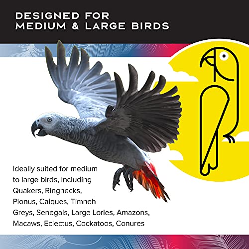 Featherland Paradise | Multi-Colored Zig Zag Chew | Bird Toys For Large Birds #TOP5