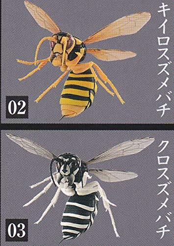 Amazon.co.jp: キイロスズメバチ&クロスズメバチset ガチャ/いきもの大