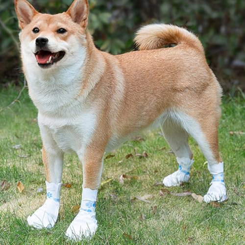 BHIPKOT (20 Stück Einweg-Hundesocken mit selbstklebenden Pfotenpolstern für kleine Hunde für drinnen und draußen