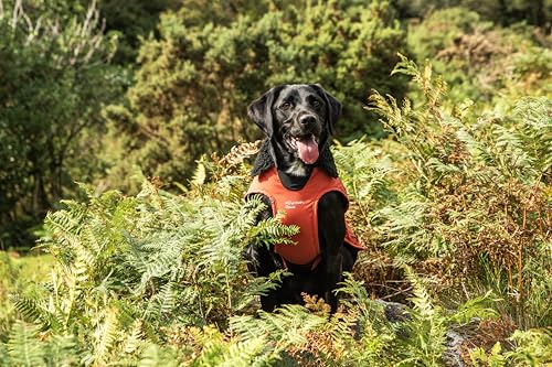 Capa impermeable de perro en Cordura de alta resistencia Mountain Paws L 7