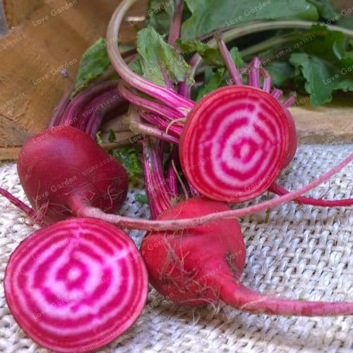 Semillas Shopvise Cherrybelle Rábano 50 PC; color 2