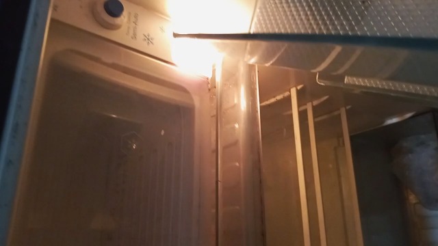 a review of this standing fridge