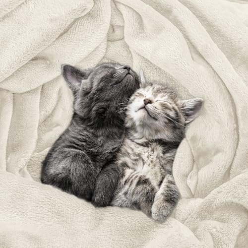 Image of Utopia Bedding Fleece Blanket Queen Size Linen (90x90 Inches) Ultra Soft Warm Lightweight Microfiber Breathable Anti-Static Cozy Bed Blanket, All-Season Home Decor Gift for Men & Women