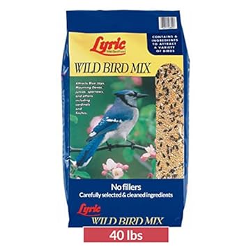 best wild bird food mix