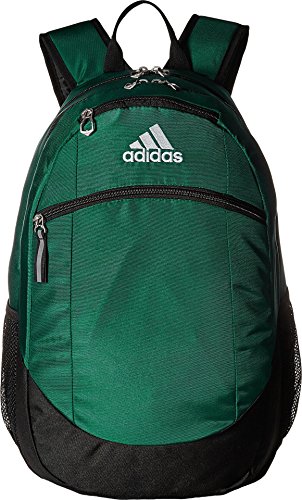 Image of Striker Team Sports Backpack for soccer and more, workout bag for men and women