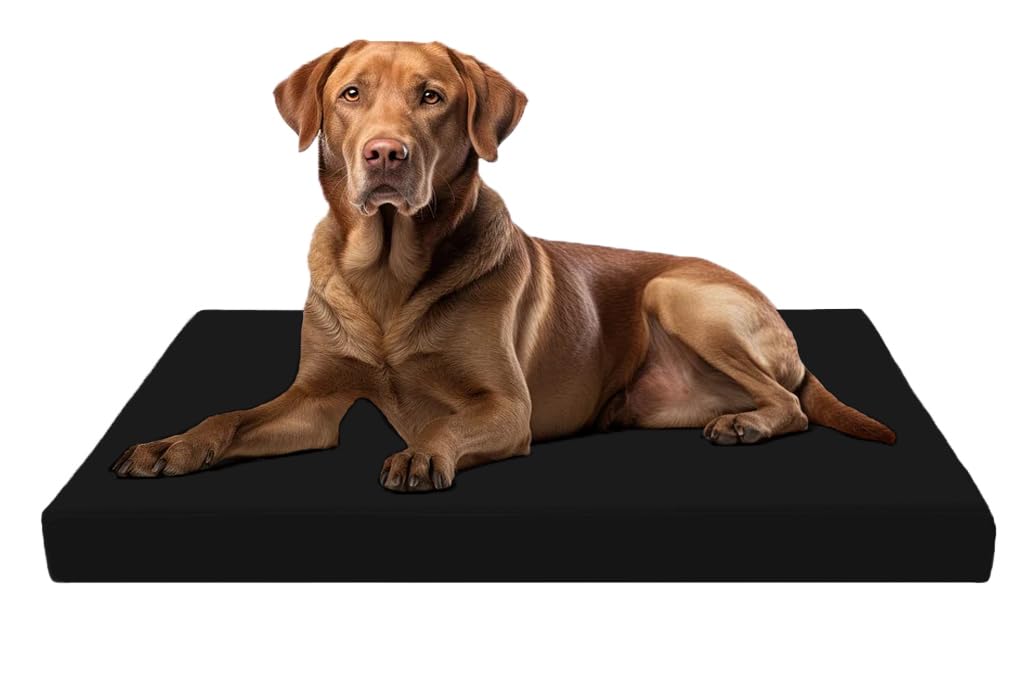 Dazzle Collection Dog Bed Mattress Bed Cushion Chew Resistant Waterproof Cover Medium Density Foam Filling for Dog bed Mattress (XX Large 120cm x 75cm x 5cm – 48″ x 30″ x 2″, Black)
