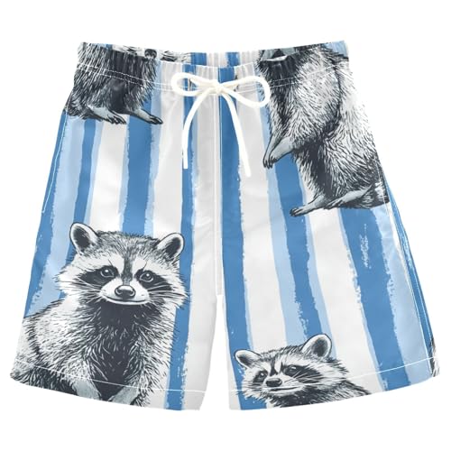 Jucciaco Boys Beach Board Shorts Raccoon Stripes Blue Animal Swim Trunk Teen Swimwear