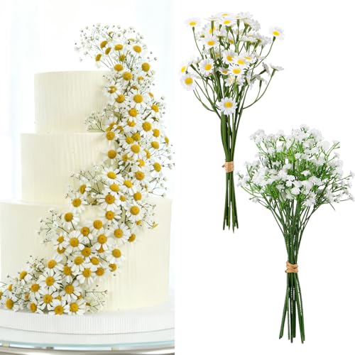 FineCheer t[P[Lgbp[ t[P[LfR[V fCW[12&xCr[uXCht[10 a EFfBO  xr[V[ uC_V[p[eB[pi