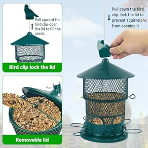 Wild Bird Feeder for Outdoors Hanging, Metal Retractable 3.8lb Capacity Bird Feeders for Outside, for Cardinal, Blue Jay,Finches, Wildlife Backyard Garden Birding Watching(Green) Wild Bird Feeder for Outdoors Hanging Metal Retractable 38lb Capacity Bird Feeders for Outside for Cardinal Blue JayFinches Wildlife Backyard Garden Birding WatchingGreen
