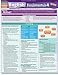 English Fundamentals 4 (Quickstudy: Academic)