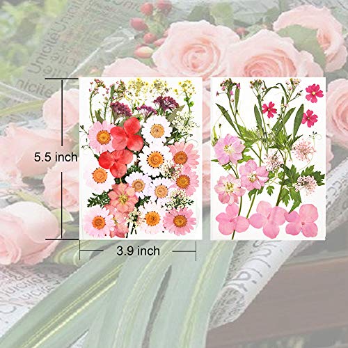 image for Pink 54pcs Real Dried Pressed Flowers Leaves Petals, Josisi Colorful P