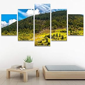 SIGNWIN 5 Panel Canvas Wall Art Modern Art...