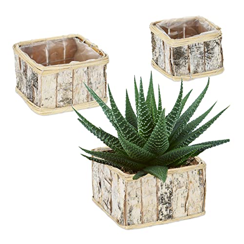 Relaxdays Macetas, 3 Tamaños Diferentes, Rectangulares, Abedul, Maceteros con Forro, Interior y Exterior, Blanco/Natural, Madera, 14 x 22,5 x 22,5 cm