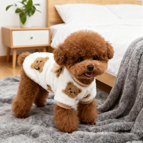 Hundepullover Kleine Hunde, Hundepullover, Katzen Kleidung, Warm und Gemütlich für Herbst und Winter, Yorkies, Chihuahuas, Süße Haustier-Kleidung In S Größe 20x25x3 cm